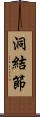洞結節 Scroll
