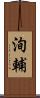 洵輔 Scroll