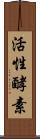 活性酵素 Scroll