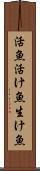 活魚 Scroll