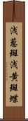 浅葱斑 Scroll