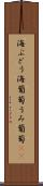 海ぶどう Scroll