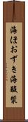 海ほおずき Scroll