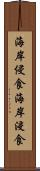 海岸侵食 Scroll