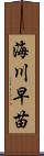 海川早苗 Scroll