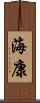 海康 Scroll