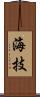 海技 Scroll