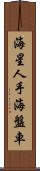 海星 Scroll