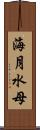 海月 Scroll