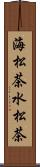 海松茶 Scroll