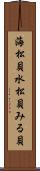 海松貝 Scroll