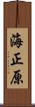 海正原 Scroll