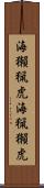 海獺 Scroll
