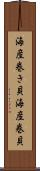 海産巻き貝 Scroll