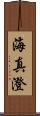 海真澄 Scroll