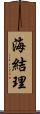 海結理 Scroll