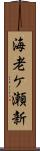 海老ケ瀬新 Scroll