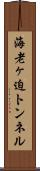 海老ヶ迫トンネル Scroll