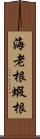 海老根 Scroll