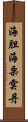 海胆 Scroll
