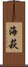 海萩 Scroll