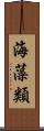 海藻類 Scroll