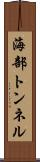海部トンネル Scroll