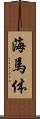海馬体 Scroll