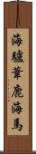 海驢 Scroll