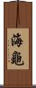 海龜 Scroll