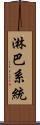 淋巴系統 Scroll