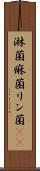 淋菌 Scroll