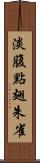 淡腹點翅朱雀 Scroll