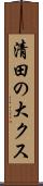 清田の大クス Scroll