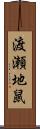 渡瀬地鼠 Scroll