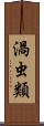 渦虫類 Scroll
