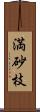 満砂枝 Scroll