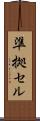 準拠セル Scroll