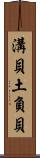 溝貝 Scroll