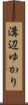 溝辺ゆかり Scroll