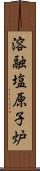 溶融塩原子炉 Scroll
