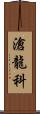 滄龍科 Scroll