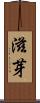 滋芽 Scroll