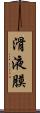 滑液膜 Scroll