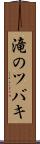 滝のツバキ Scroll