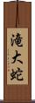 滝大蛇 Scroll