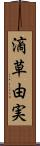 滴草由実 Scroll
