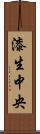 漆生中央 Scroll