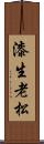 漆生老松 Scroll