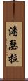 Panthera Scroll